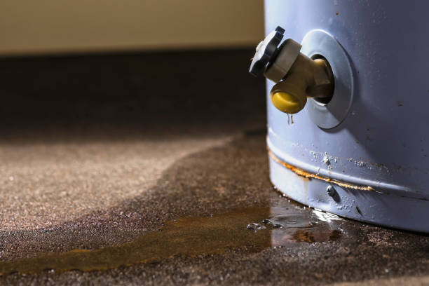 Best Carpet water damage restoration  in Elton, LA