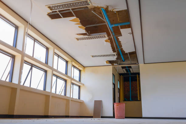 Best Basement water damage restoration  in Elton, LA