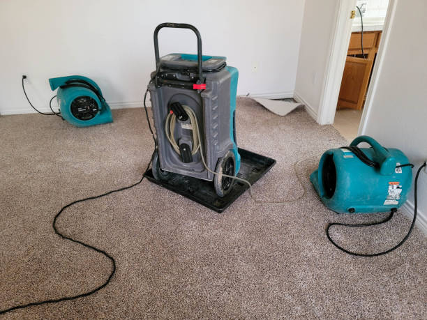 Best Flood restoration services  in Elton, LA
