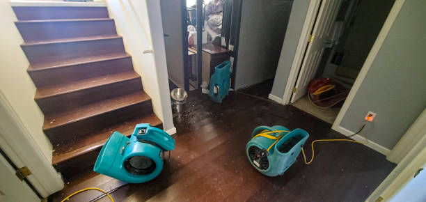 Best Residential water damage restoration  in Elton, LA