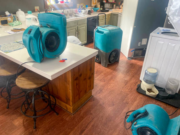 Best Flood damage cleanup  in Elton, LA