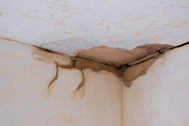Water damage restoration process in Elton, LA