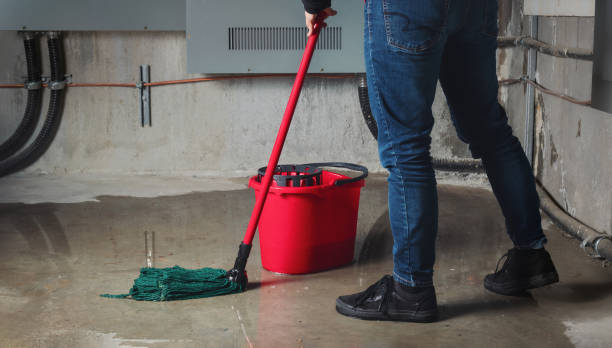 Best Carpet water damage restoration  in Elton, LA