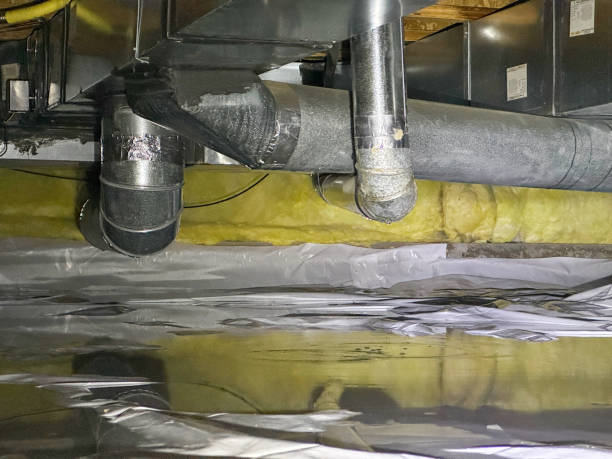 Best Ceiling water damage repair  in Elton, LA