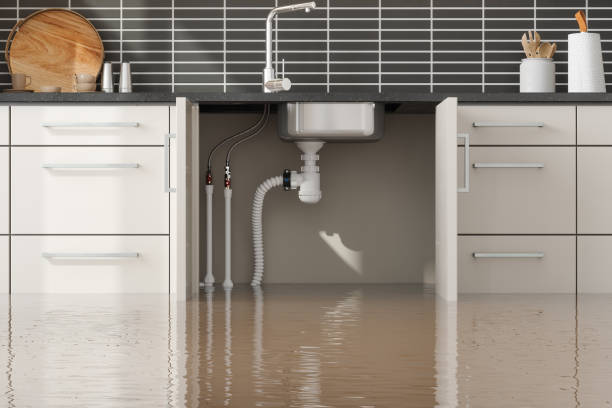 Best Flooded house restoration  in Elton, LA