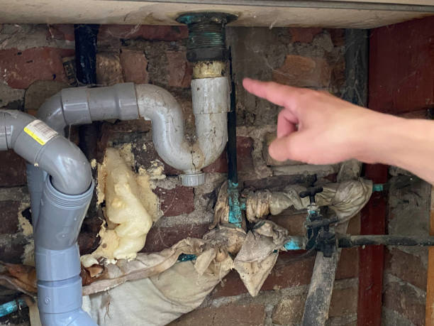 Best 24-hour water damage restoration  in Elton, LA