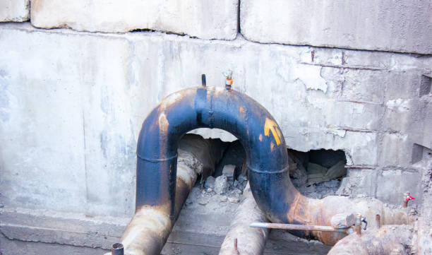 Best 24/7 water damage repair  in Elton, LA