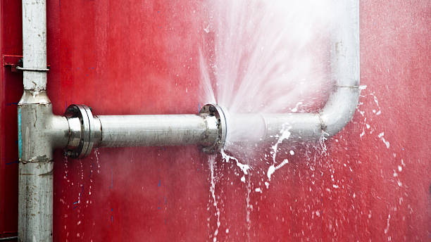 Best Mold removal after water damage  in Elton, LA